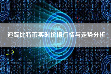 追踪比特币实时价格行情与走势分析