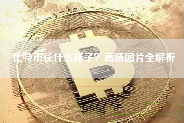 比特币长什么样子？高清图片全解析
