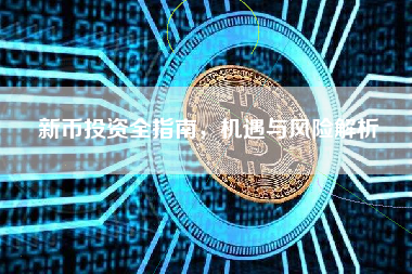 新币投资全指南，机遇与风险解析