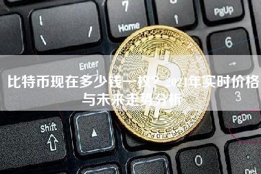 比特币现在多少钱一枚？2024年实时价格与未来走势分析