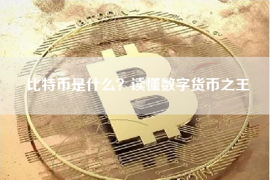 比特币是什么？读懂数字货币之王