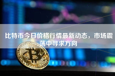 比特币今日价格行情最新动态，市场震荡中寻求方向