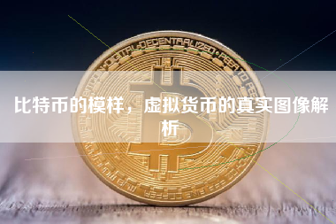 比特币的模样，虚拟货币的真实图像解析
