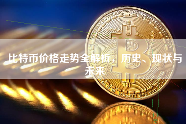 比特币价格走势全解析，历史、现状与未来