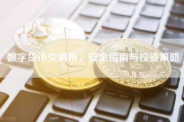 数字货币交易所，安全指南与投资策略