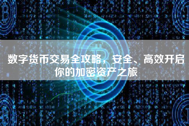 数字货币交易全攻略，安全、高效开启你的加密资产之旅