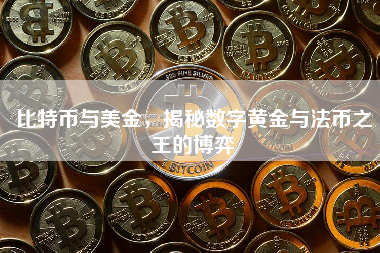 比特币与美金，揭秘数字黄金与法币之王的博弈