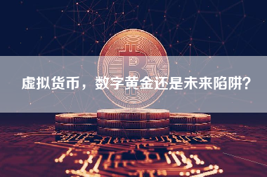 虚拟货币，数字黄金还是未来陷阱？