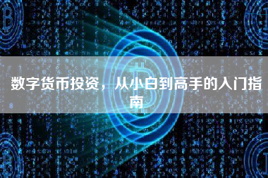 数字货币投资，从小白到高手的入门指南