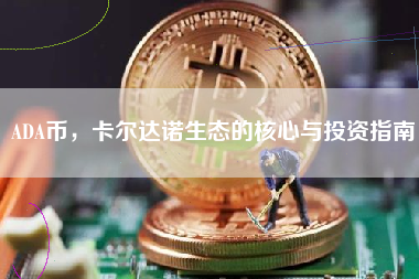 ADA币，卡尔达诺生态的核心与投资指南