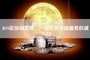 BSN区块链官网,一站式区块链服务权威入口 BSN区块链官网,一站式区块链服务权威入口