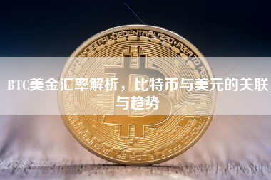 BTC美金汇率解析，比特币与美元的关联与趋势