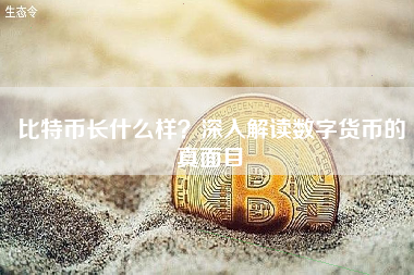 比特币长什么样？深入解读数字货币的真面目
