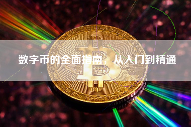 数字币的全面指南，从入门到精通