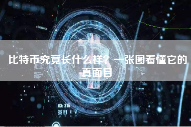 比特币究竟长什么样?一张图看懂它的真面目 比特币究竟长什么样?一张图看懂它的真面目
