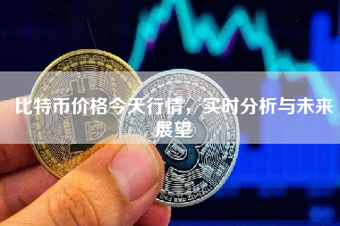 比特币价格今天行情，实时分析与未来展望