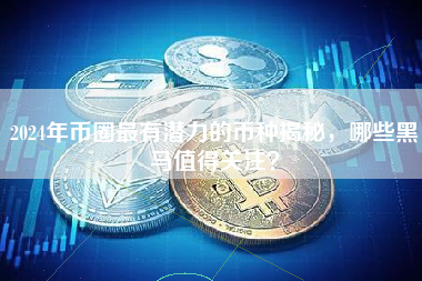 2024年币圈最有潜力的币种揭秘，哪些黑马值得关注？