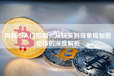 狗狗币入门指南，从玩笑到现象级加密货币的深度解析