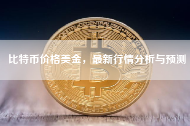 比特币价格美金，最新行情分析与预测