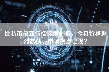 比特币最新行情深度剖析，今日价格剧烈震荡，市场拐点已现？