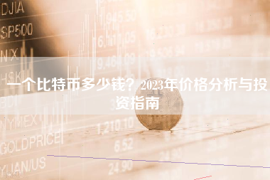 一个比特币多少钱？2023年价格分析与投资指南