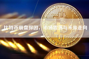 比特币崩盘探因,市场震荡与未来走向 比特币崩盘探因,市场震荡与未来走向