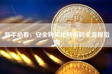 新手必看，安全购买比特币的全流程指南