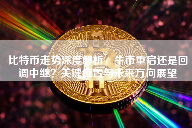 比特币走势深度解析，牛市重启还是回调中继？关键位置与未来方向展望