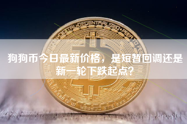 狗狗币今日最新价格，是短暂回调还是新一轮下跌起点？
