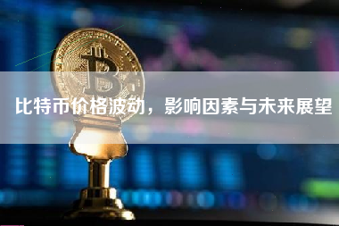 比特币价格波动，影响因素与未来展望