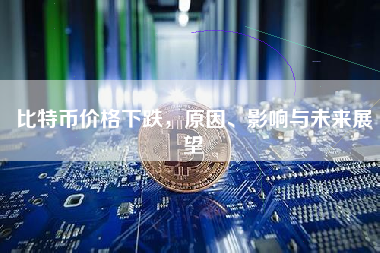 比特币价格下跌，原因、影响与未来展望