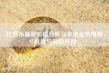 比特币最新价格分析与未来走势预测，机遇与风险并存