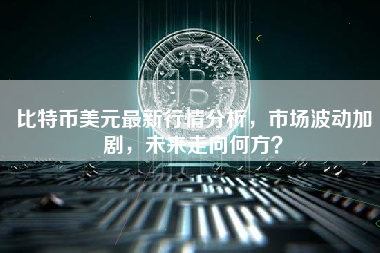 比特币美元最新行情分析，市场波动加剧，未来走向何方？