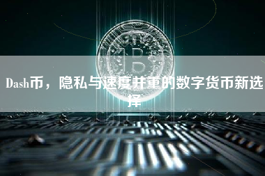 Dash币，隐私与速度并重的数字货币新选择