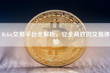 Bybit交易平台全解析，安全高效的交易体验