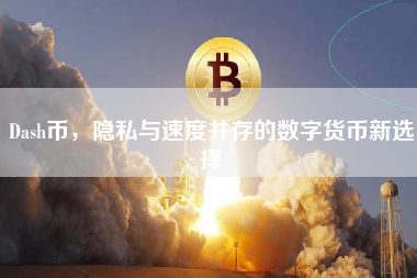 Dash币，隐私与速度并存的数字货币新选择