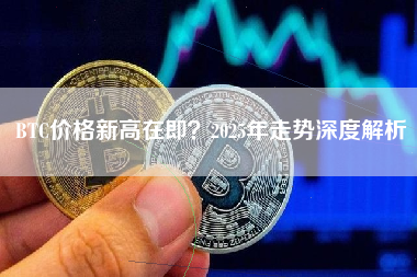 BTC价格新高在即？2025年走势深度解析