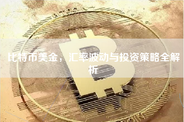 比特币美金，汇率波动与投资策略全解析