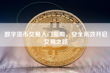 数字货币交易入门指南,安全高效开启交易之路 数字货币交易入门指南,安全高效开启交易之路