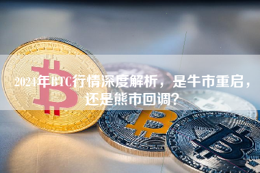 2024年BTC行情深度解析，是牛市重启，还是熊市回调？