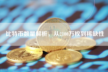 比特币数量解析，从2100万枚到稀缺性