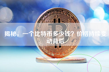 揭秘，一个比特币多少钱？价格持续变动背后