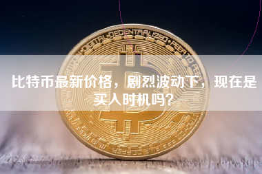 比特币最新价格，剧烈波动下，现在是买入时机吗？