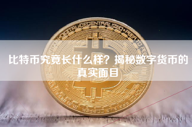 比特币究竟长什么样？揭秘数字货币的真实面目