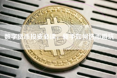 数字货币投资必读，新手如何选币避坑