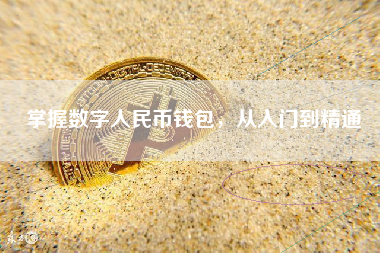 掌握数字人民币钱包，从入门到精通