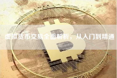 虚拟货币交易全面解析,从入门到精通 虚拟货币交易全面解析,从入门到精通