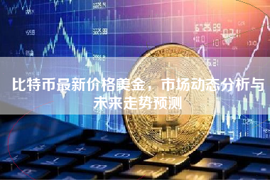 比特币最新价格美金，市场动态分析与未来走势预测