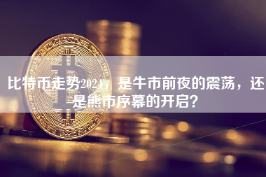 比特币走势2024,是牛市前夜的震荡,还是熊市序幕的开启? 比特币走势2024,是牛市前夜的震荡,还是熊市序幕的开启?