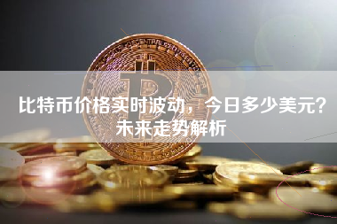 比特币价格实时波动，今日多少美元？未来走势解析